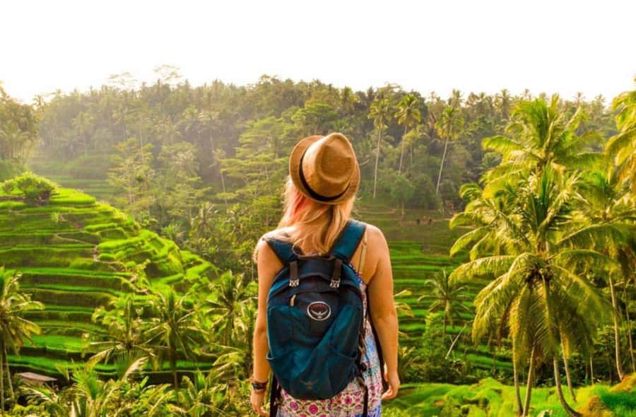All-Inclusive Rice Terrace, Waterfall, and Temple Day Tour - A Day in Ubud: The Ultimate Tour Breakdown  