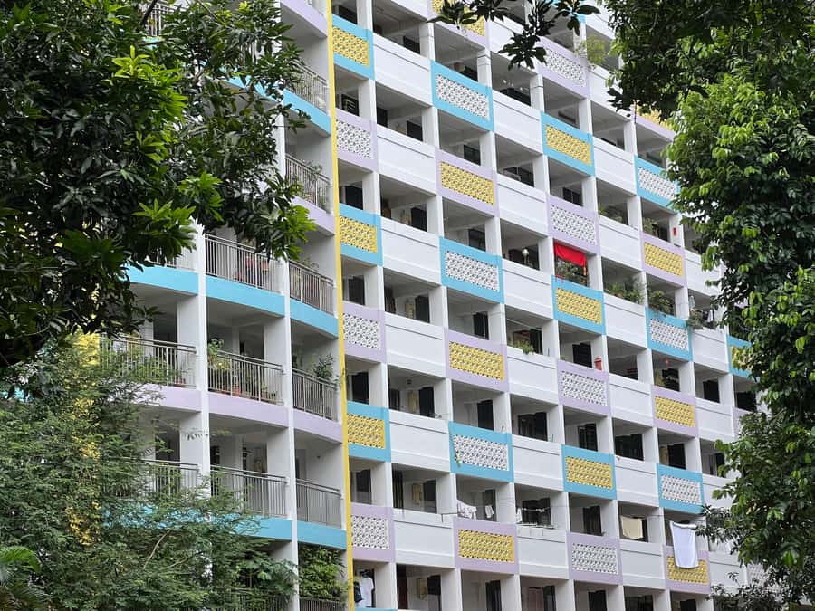Singapore: Public Housing & Local Life Private Walking Tour - Community and Local Life in Action