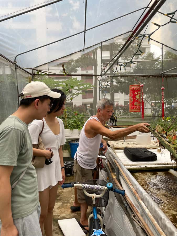 Singapore: Public Housing & Local Life Private Walking Tour - Final Thoughts