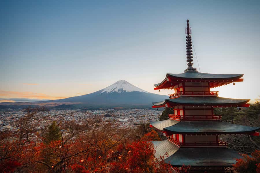 Tokyo: Mt. Fuji 5th Popular Spots and Sagamiko Illumination - References
