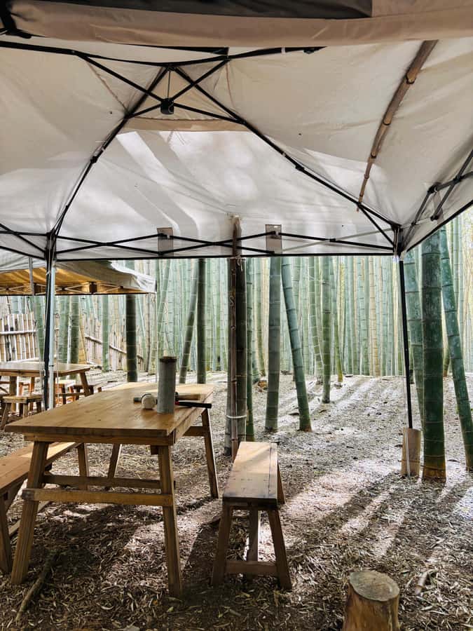 Kyoto Craftsmanship: Bamboo Chopstick Making Workshop - Good To Know