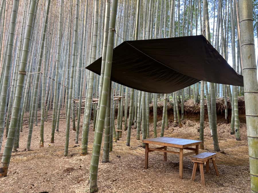 Kyoto Craftsmanship: Bamboo Chopstick Making Workshop - What’s Included and Optional Extras