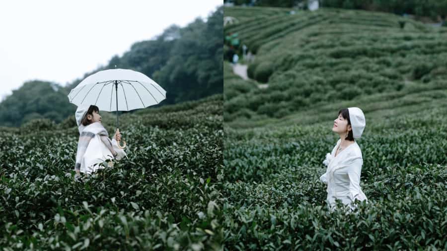 Hangzhou: Tea Village Photoshoot in Longjing - Authenticity and Past Traveler Insights