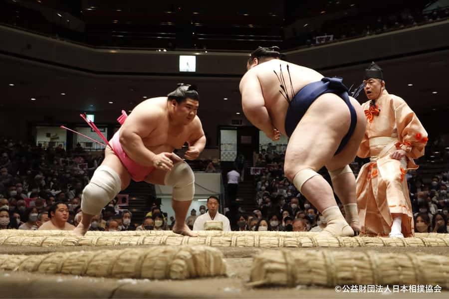 Osaka: 2026 Sumo Tournament Tour with Chanko-nabe Lunch - FAQ