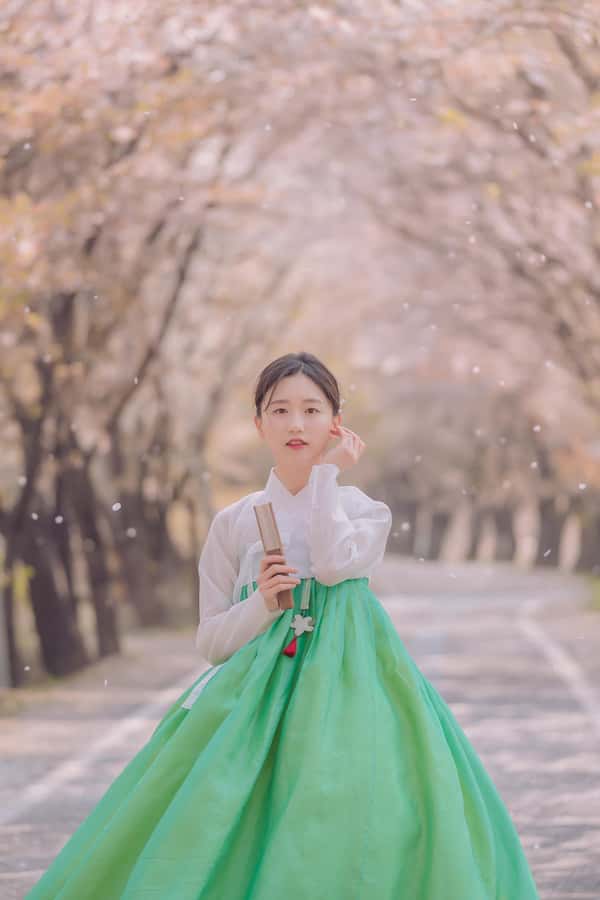 Seoul: Premium Hanbok Photo in Seoul by Sony Award Pro - The Venue & Cultural Context