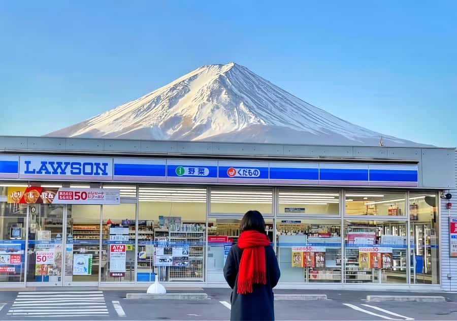 Mt. Fuji 6 Scenic Day Tour: Kawaguchiko & Lake Yamanaka - Practical Details and Logistics