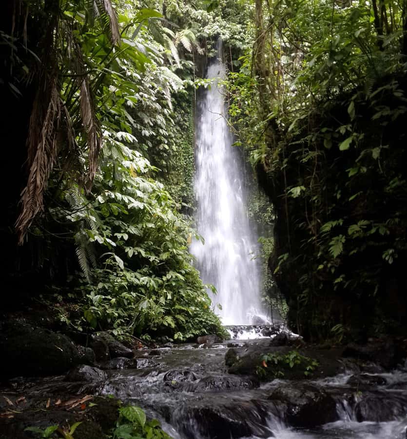 Lombok: Coffee Experience, Rice Terraces & Waterfalls Tour - Key Points