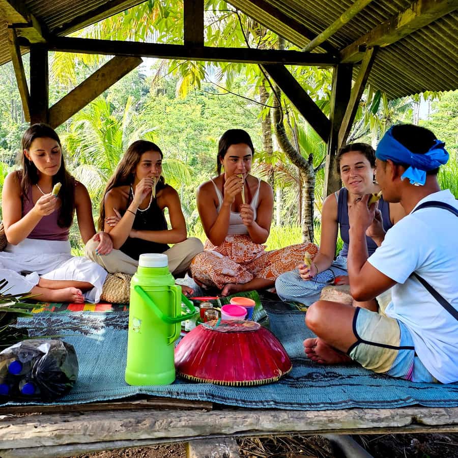 Lombok: Coffee Experience, Rice Terraces & Waterfalls Tour - Value and Pricing Considerations