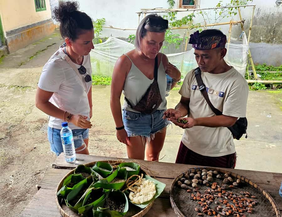Lombok: Coffee Experience, Rice Terraces & Waterfalls Tour - An Introduction to the Tour Experience