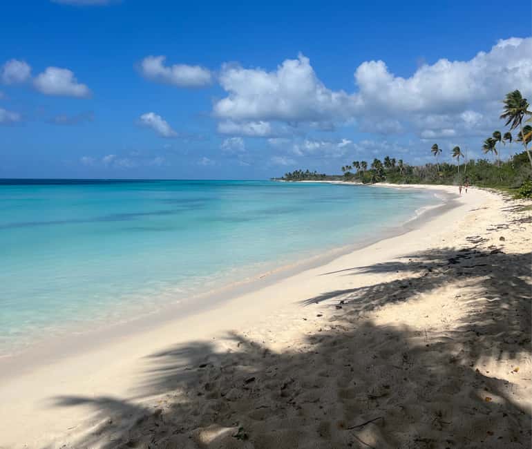 Punta Cana: Three Treasures of Saona - Palmilla, Pueblo & Canto de la playa - An In-Depth Look at the Saona Adventure