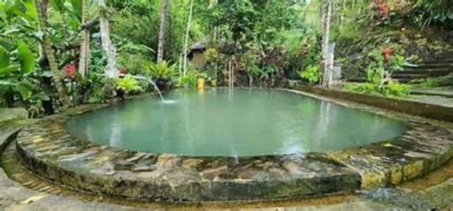 Jatiluwih Nature and Wellness Day Tour - Final Thoughts: Who Will Love This Tour?