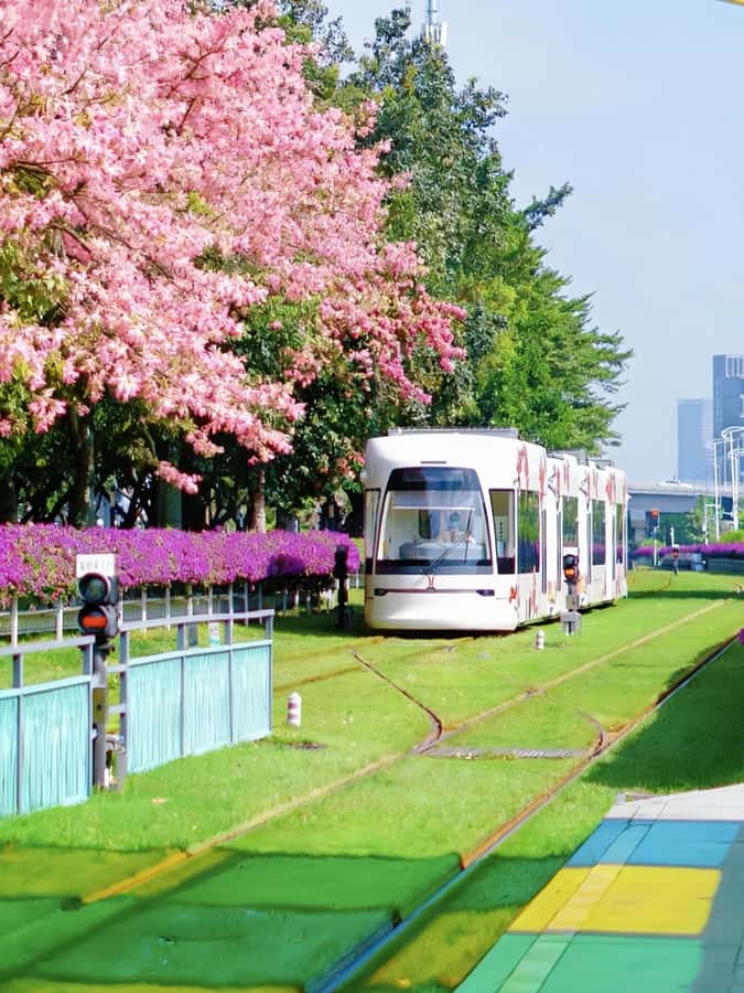 Guangzhou Day Tour: Trolley, Glass Museum & Night Cruise - The Itinerary Breakdown