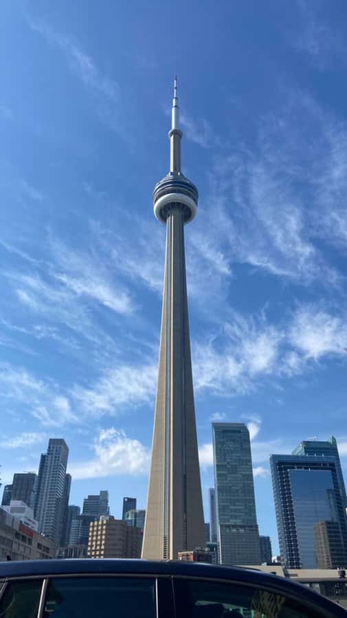 Toronto  Private 2-Hour Photoshoot with a Pro Photographer - Who Should Consider This Photoshoot?