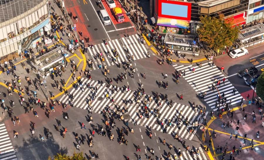 Tokyo Classic Morning Highlights Tour - The Sum Up: Why This Tour Is a Smart Choice