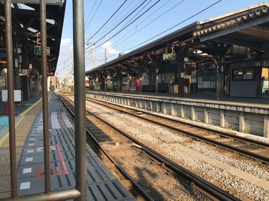 Kamakura: Anime Pilgrimage Tour with Local Guide - An In-Depth Look at the Kamakura: Anime Pilgrimage Tour