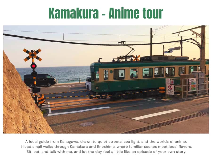 Kamakura: Anime Pilgrimage Tour with Local Guide - Transportation, Duration, and Group Experience
