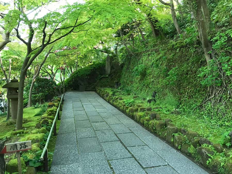 Kamakura: Anime Pilgrimage Tour with Local Guide - Good To Know