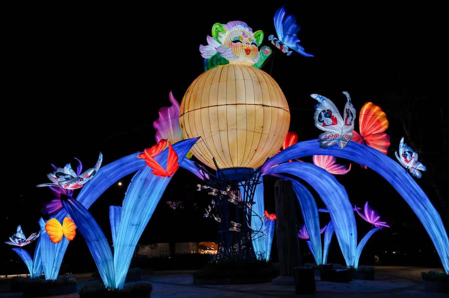 Singapore: Gardens by the Bay Entry Ticket Combo - Introduction