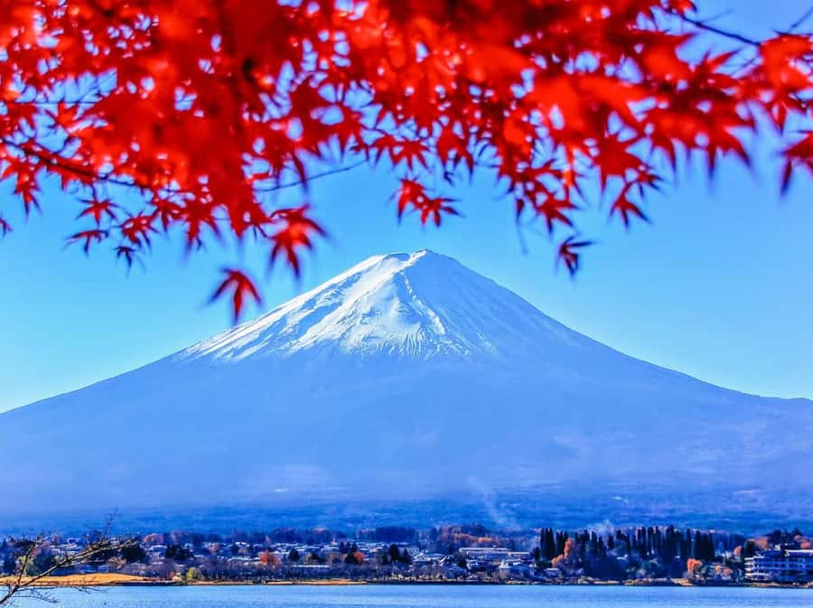 From Tokyo: Mt. Fuji One-Day Private and Customizable Tour - The Practicalities and What Sets This Tour Apart