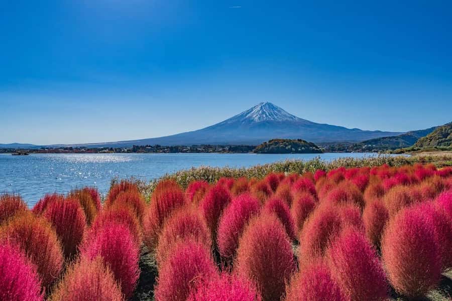 From Tokyo: Mt. Fuji One-Day Private and Customizable Tour - FAQ