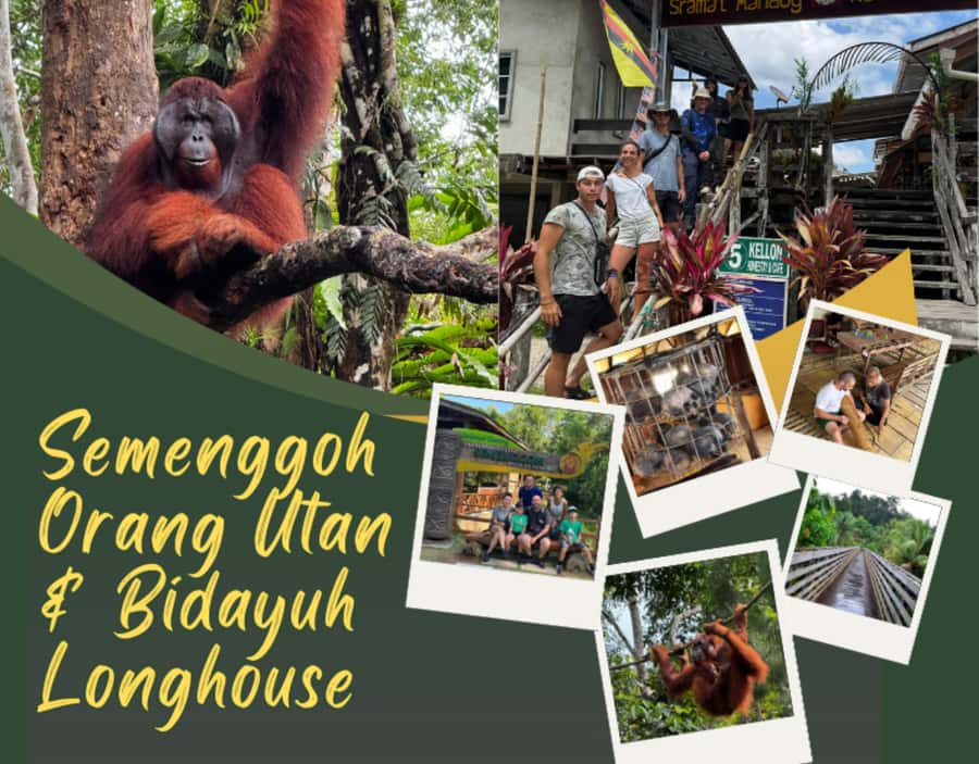 Kuching Orangutan & Bidayuh Longhouse - Who Should Consider This Tour?