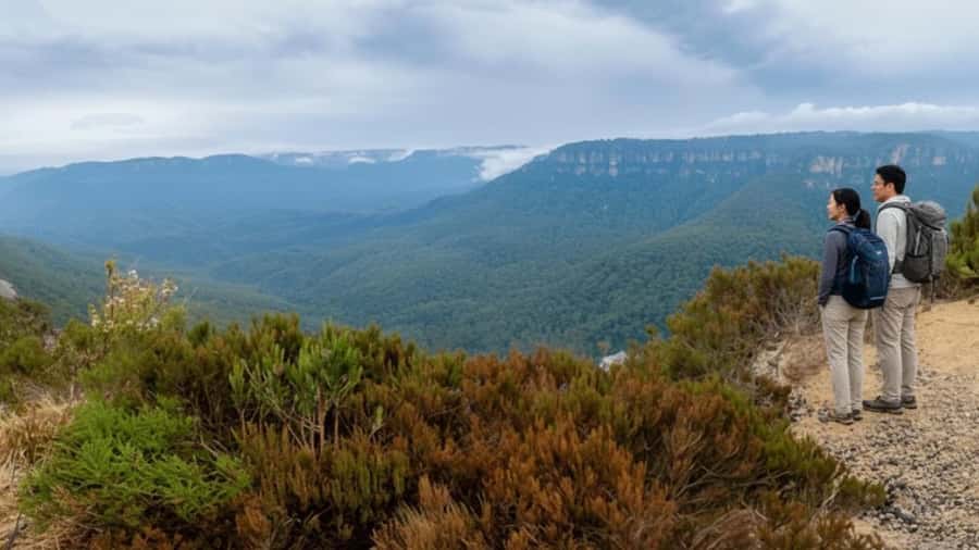 Sydney: Blue Mountains and F. Wildlife Park - Private Tour - Exploring the Blue Mountains and Featherdale Wildlife Park: A Balanced Look at a Private Tour