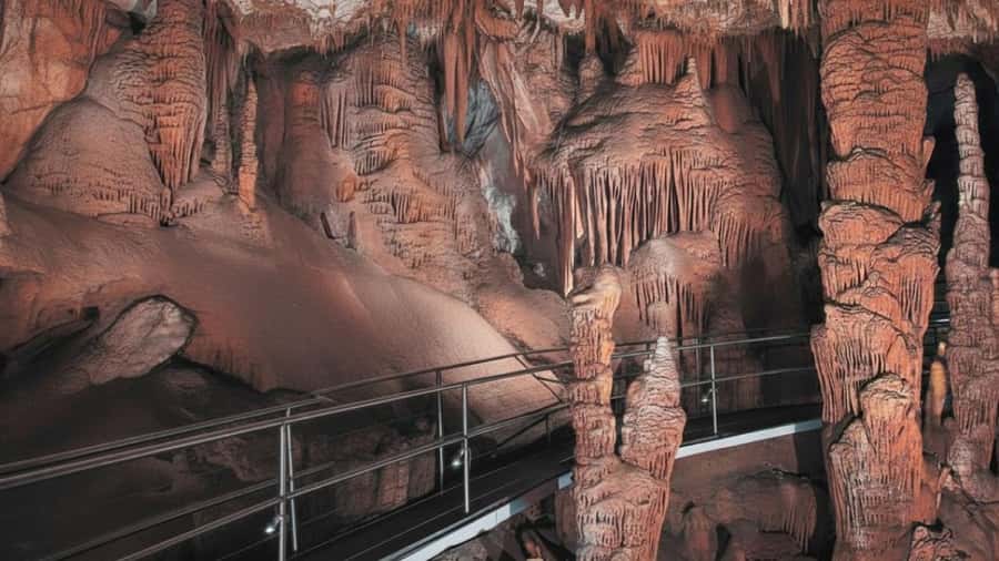 Sydney: Blue Mountains and F. Wildlife Park - Private Tour - Value and Pricing Analysis