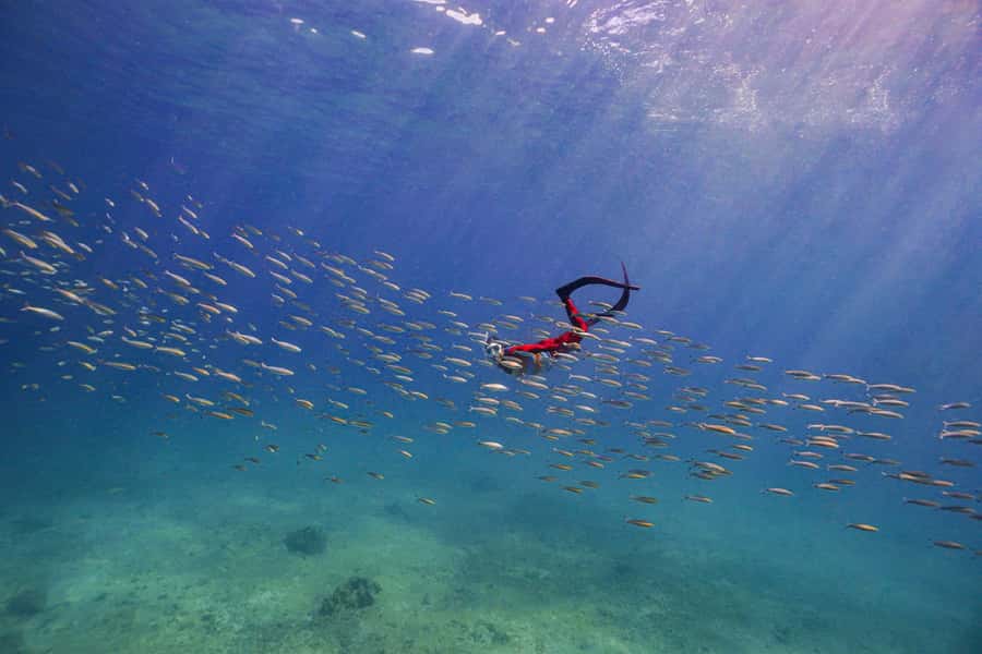 Krabi: 4-Island Freediving Day Tour with Lunch & Photos - An In-Depth Look at the Krabi 4-Island Freediving Tour
