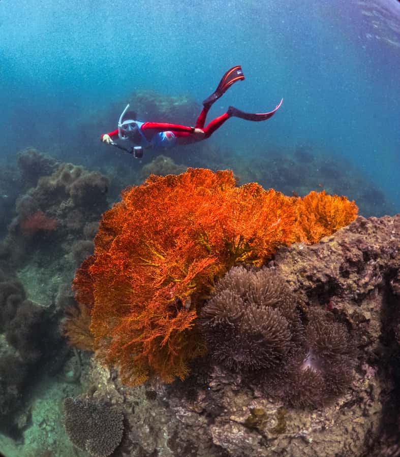 Krabi: 4-Island Freediving Day Tour with Lunch & Photos - Good To Know