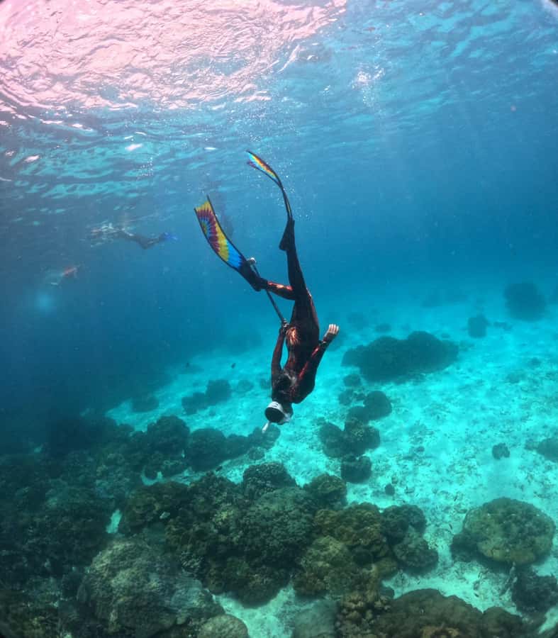 Krabi: 4-Island Freediving Day Tour with Lunch & Photos - Final Words