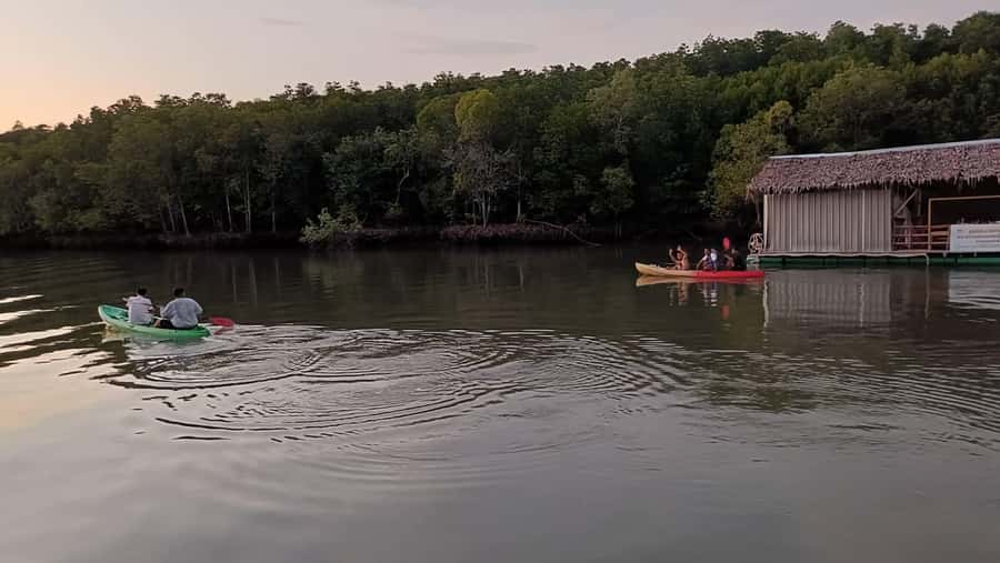 Ko Lanta: Sunset + Bioluminescence plankton by kayaking - Authentic Experiences from Reviewers