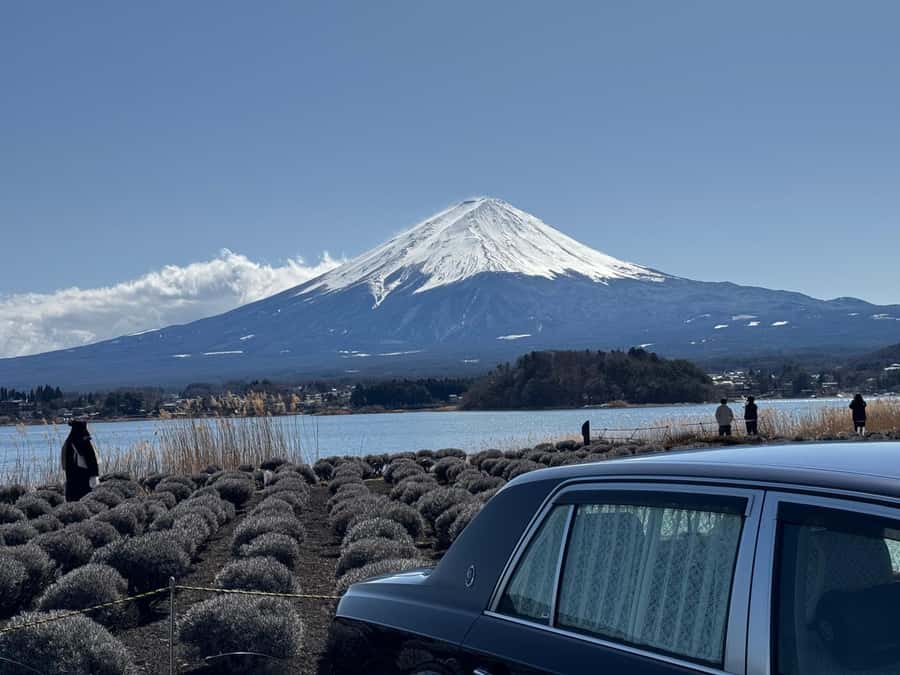 Tokyo: Mt. Fuji and Hakone 2-Day Camping Adventure - The Practical Details