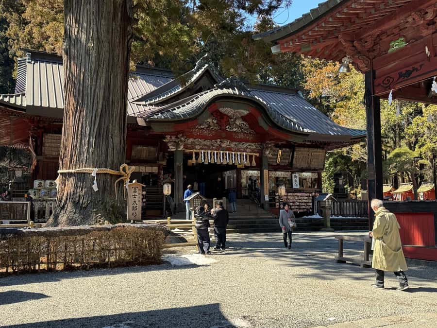 Tokyo: Mt. Fuji and Hakone 2-Day Camping Adventure - What Reviewers Say