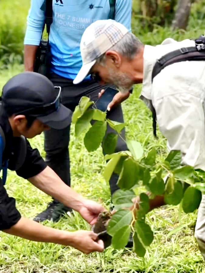 Mount Merapi Soft Trekking With Forest Conservation Tour - Key Points