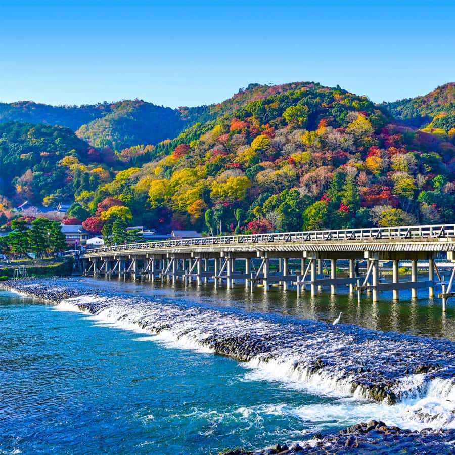 Kyoto West: Arashiyama Riverside Walk Bamboo Forest - What’s Included & What to Prepare