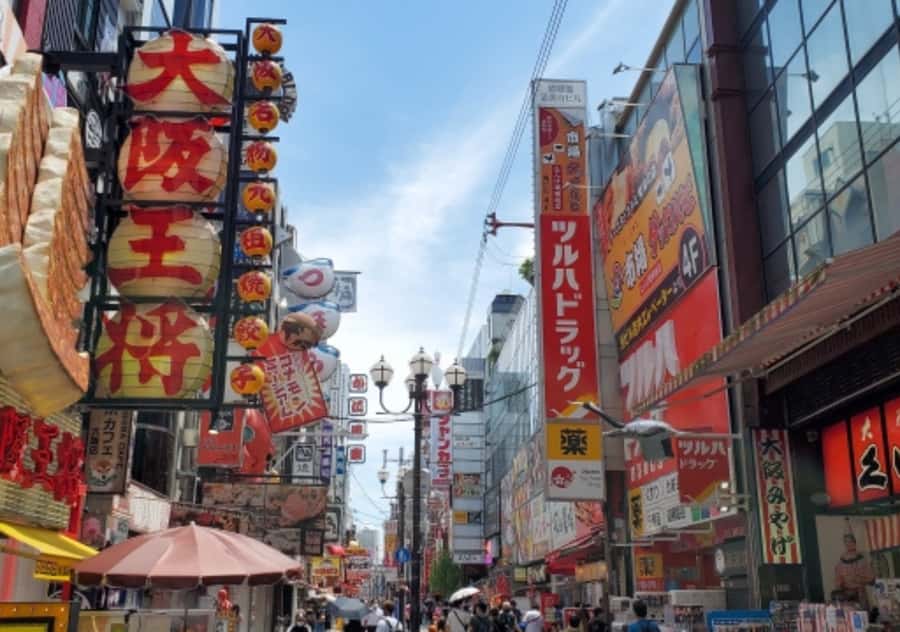 Osaka: Private Customizable Shopping Tour with Guide - Key Points