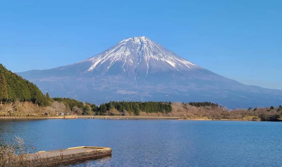 From Tokyo: Mount Fuji and Hakone Customizable Private Tour - Discover the Beauty of Mount Fuji and Hakone in a Private Day Tour