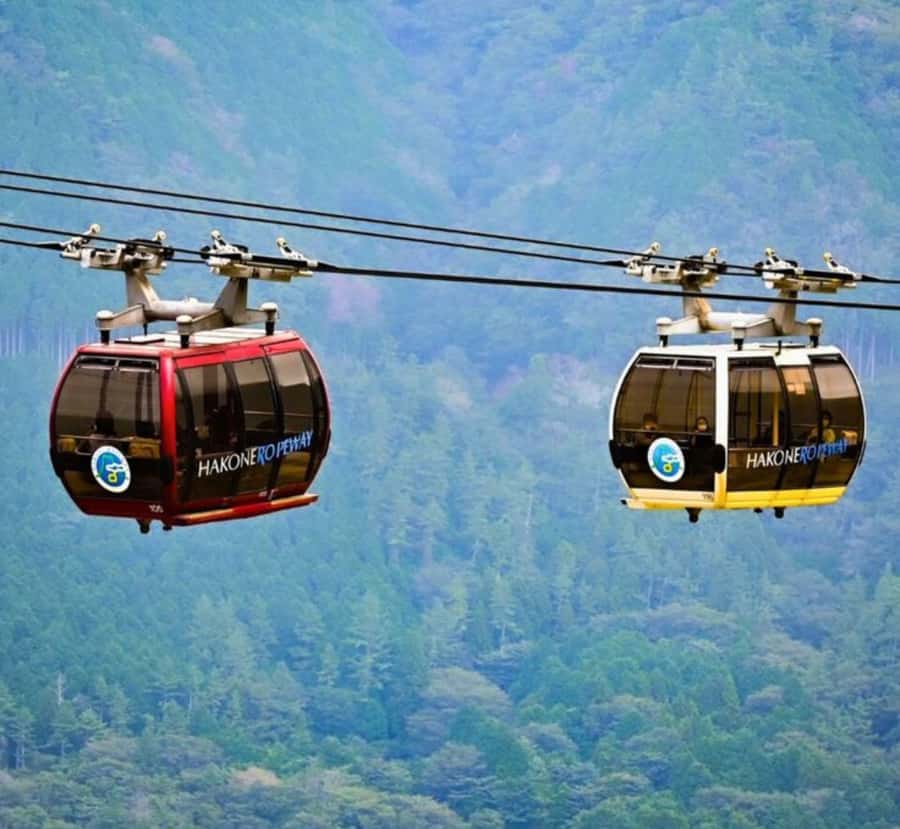 From Tokyo: Mount Fuji and Hakone Customizable Private Tour - Frequently Asked Questions