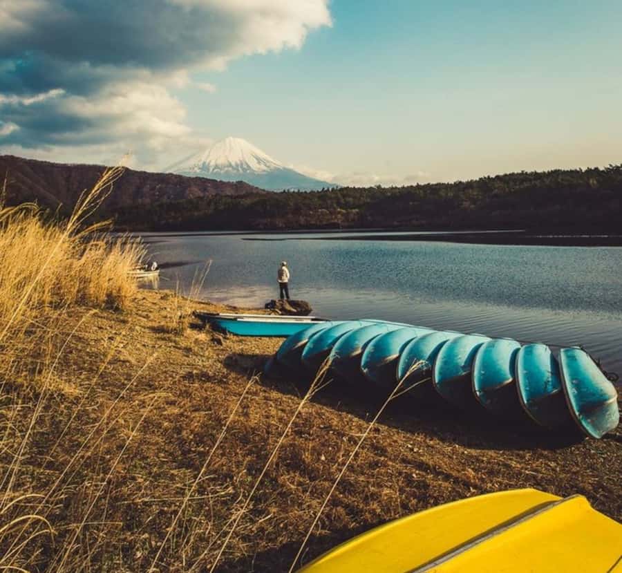 From Tokyo: Mount Fuji and Hakone Customizable Private Tour - Who This Tour Is Best For