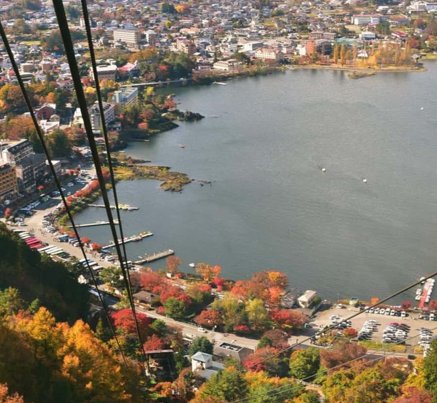 From Tokyo: Mount Fuji and Hakone Customizable Private Tour - Wrapping It Up