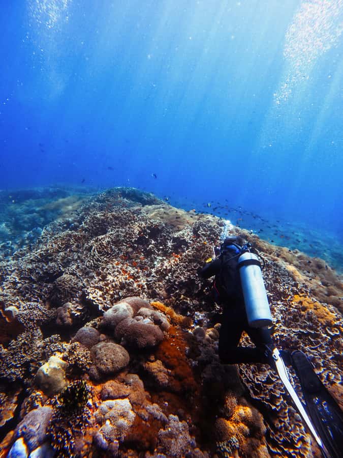 From Bali: Beginner Scuba Diving to Nusa Penida & Lembongan - Final Thoughts: Is This Tour Worth It?