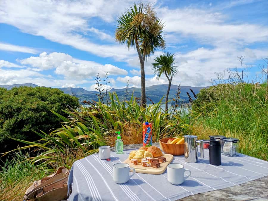 Kaikura: Small Group Tour- optional Whale, Dolphin, Zipline - Key Points