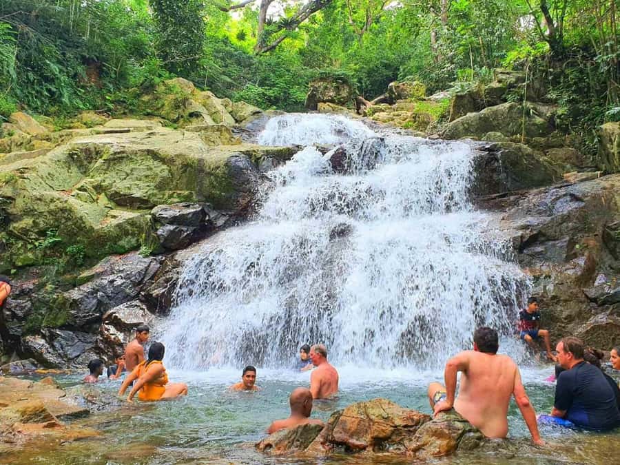 Nadi: Zipline, Waterfalls, and Jungle Safari Tour with Lunch - Who Should Consider This Tour