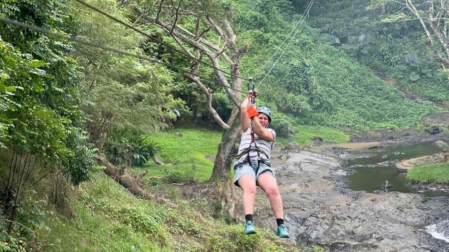 Nadi: Zipline, Waterfalls, and Jungle Safari Tour with Lunch - Overall Impression