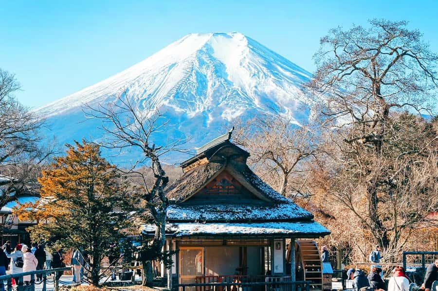 Tokyo: Mt. Fuji & 6 Must-See Spots: Oshino & Lake Kawaguchi - Final Thoughts