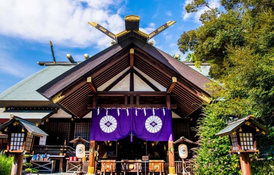 Tokyo Shrines Tour ~Goshuin stamp rally~ - Who Would Love This Tour?