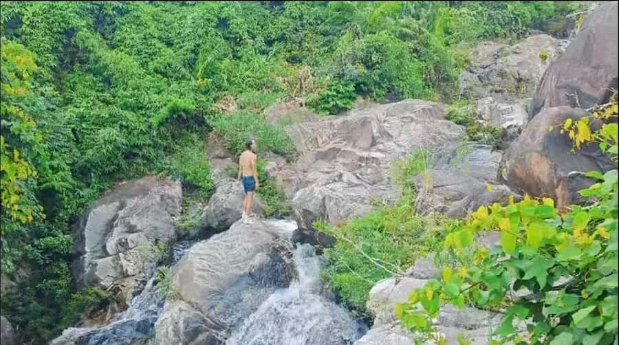 Wanning: Walking Tour in Xinglong Triangle Rainforest - Good To Know