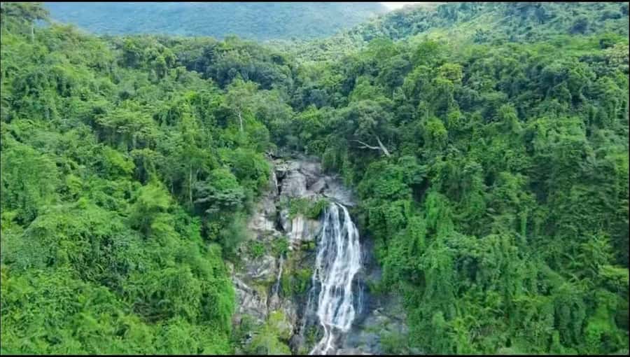 Wanning: Walking Tour in Xinglong Triangle Rainforest - The Sum Up