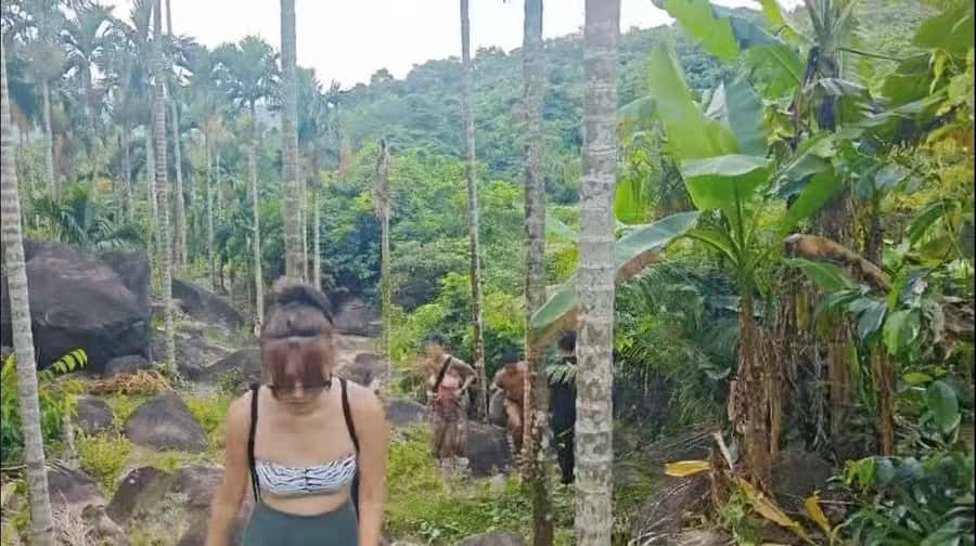 Wanning: Walking Tour in Xinglong Triangle Rainforest - Why This Tour Stands Out