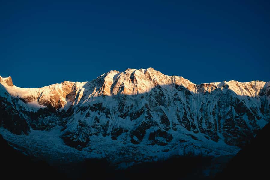 Kathmandu: 8-Day Annapurna Base Camp Trek with Guide - Authentic Experience and Value